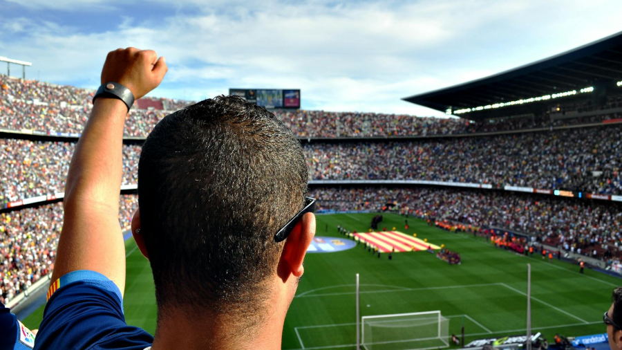 man-fan-person-football-54308.jpeg