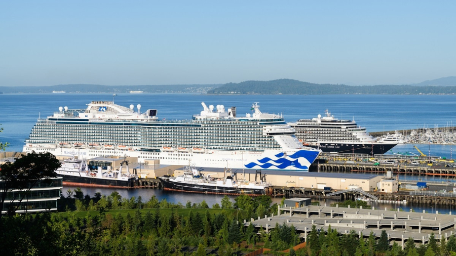 Seattle-cruise-port-with-Princess-and-Holland-America-ships.jpg