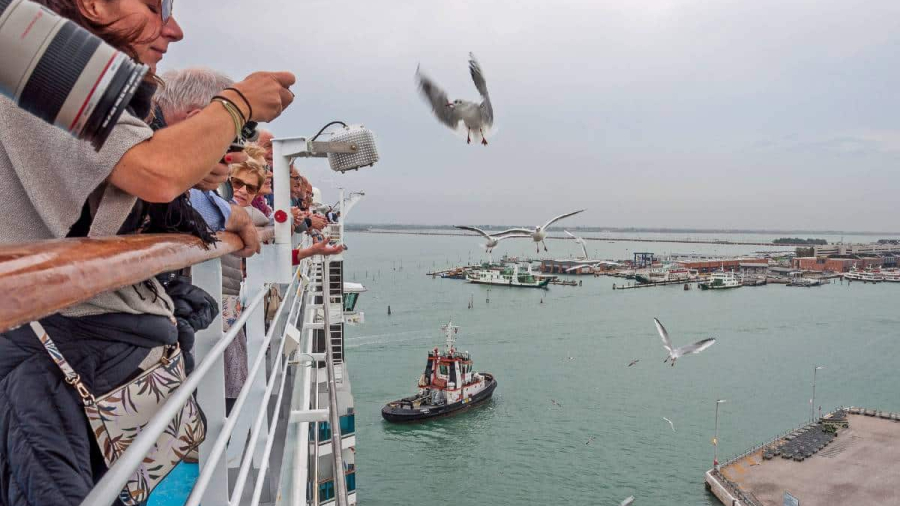 cruise-passengers-feeding-seagulls.jpg