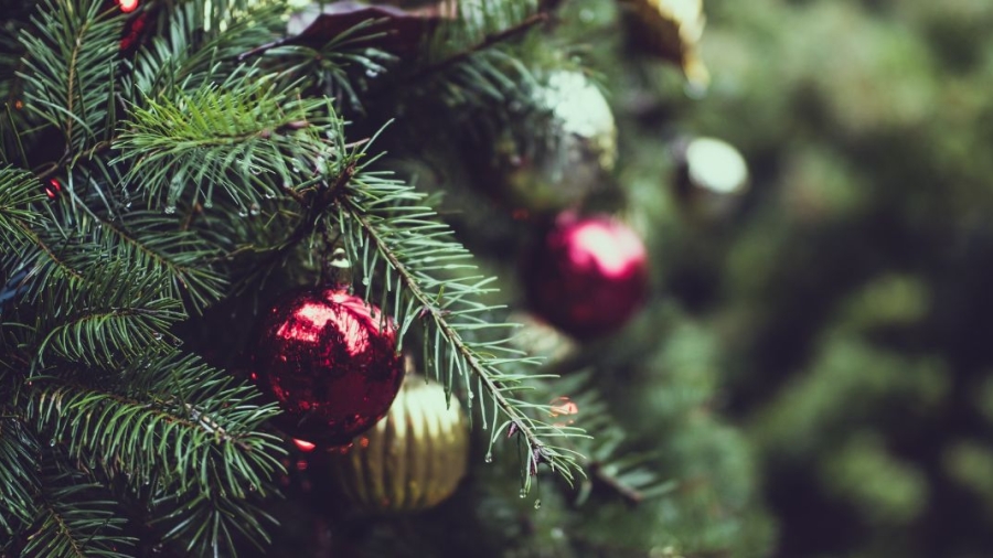 Christmas-Tree.jpg
