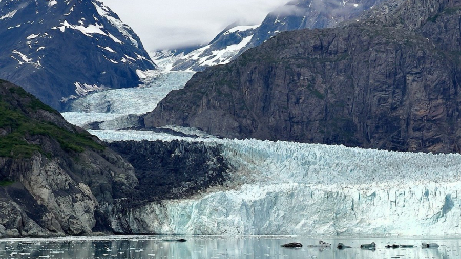 icebergs-8430043_1280.jpg