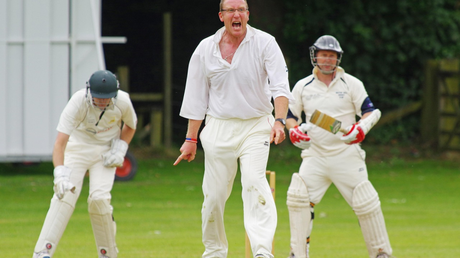 cricket-724619_1280.jpg