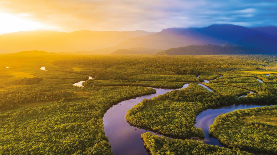 Amazon-River.jpg