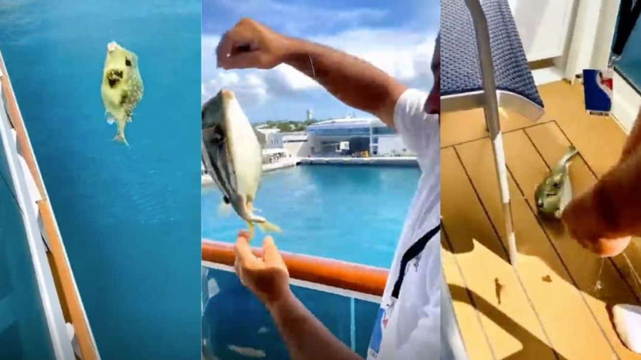 Fishing-off-cruise-ship.jpg
