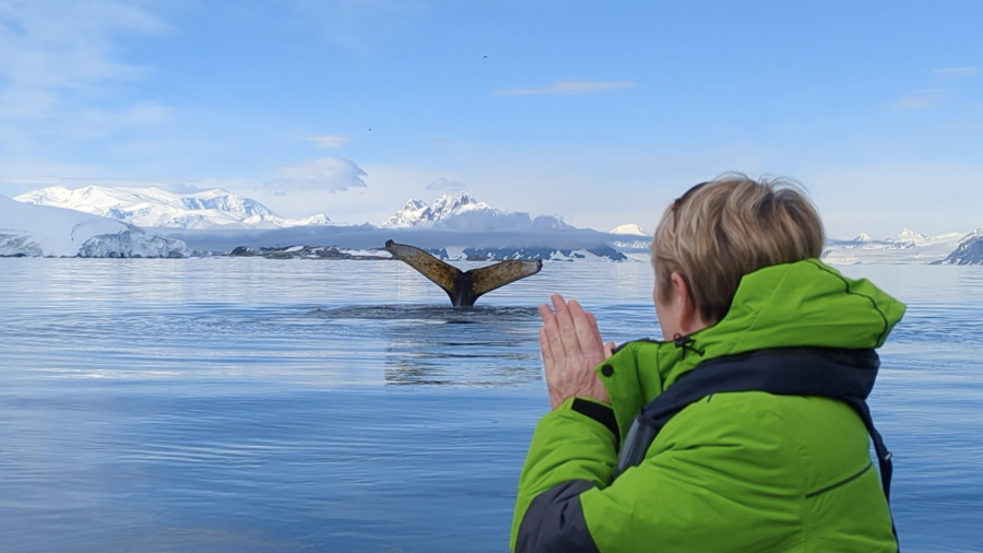 aov_Antarctica_Woman_Humpback_Tail.jpg