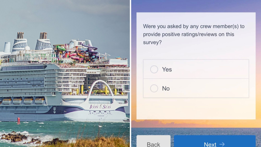post-cruise-surveys-debated.jpg
