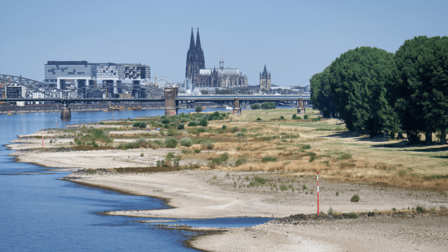rhine-river-low-water-level.png