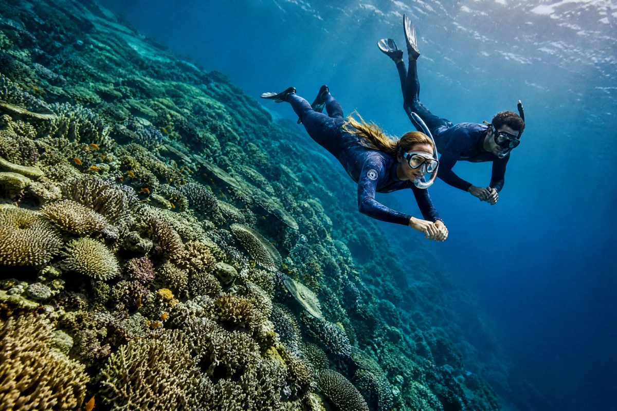 Couple snorkelling over coral on the Great Barrier Reef in stinger suits
